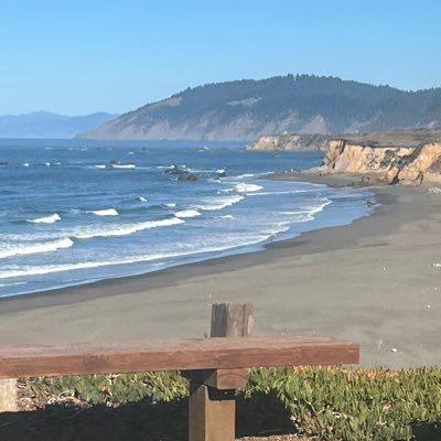 JulieRRs12550's profile picture. Fed up Californian, conservative, Wife, Dog lover, America First