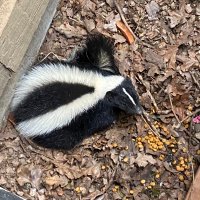 michael (@michael69603277) 's Twitter Profile