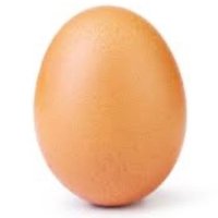 Void (@notvoidite) 's Twitter Profile