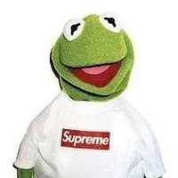 Frogs Five Days (@frogsfivedays) 's Twitter Profile