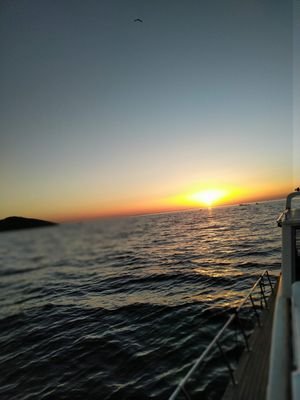 usta22492757151's profile picture. 