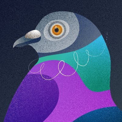 hugepigeonjulia's profile picture. love to draw, play chess, do smth with esp32