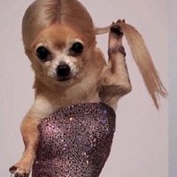 Ju Livé (@juuulieta27) 's Twitter Profile Photo Ju Livé (@juuulieta27) 's Twitter Profile Photo