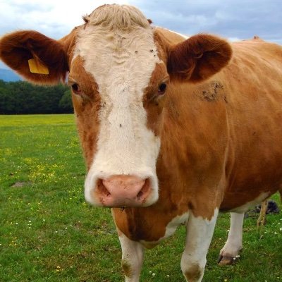 GaupitaV77792's profile picture. 