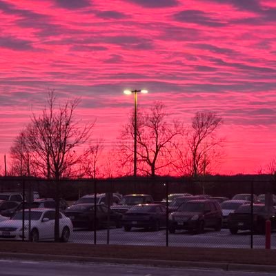 renoharrawood0's profile picture. 