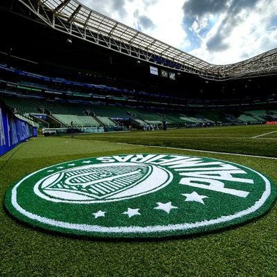 Nunca foi sorte sempre foi Deus @palmeiras desde de criança #avatipalestra💚🌴🐷🇧🇷 12x🏆