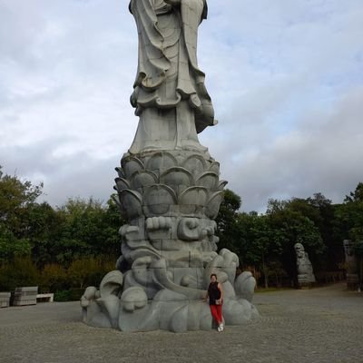 helenae83463655's profile picture. livre como um pássaro