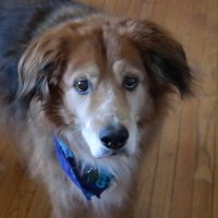 Mary Carney 🇺🇸 (@marys_musings) 's Twitter Profile