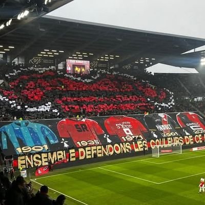 roazhoninho's profile picture. galette saucisse forever