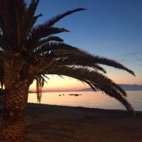 Greca (@greca54) 's Twitter Profile