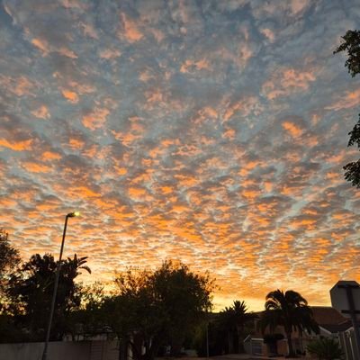 Dowayn5botha's profile picture. Afrikaner
