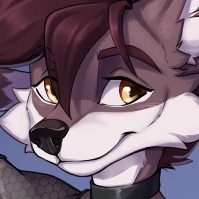 Saurさんのプロフィール画像