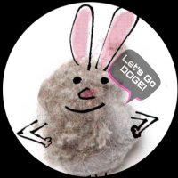 Dr Dust Bunny 2 (@dopplerdeb) 's Twitter Profile