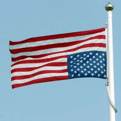 Ms_Historian's profile picture. High school U.S. history & lit teacher (you're welcome.)