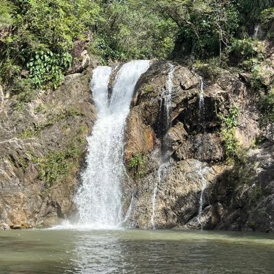 shelshocked101's profile picture. 