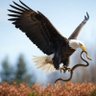 MillenialM4n's profile picture. Jesus Christ ✝️, America 🇺🇸, here for the long run.