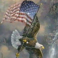 Freedom Fighters (@freedomsearned) 's Twitter Profile