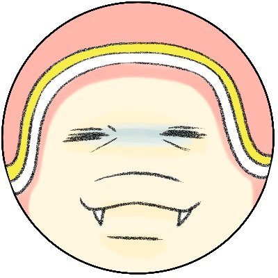 IKARINGさんのプロフィール画像