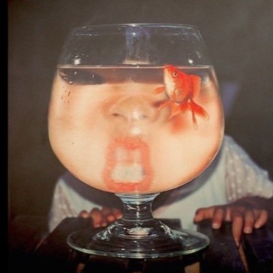 37sdwc's profile picture. 不器用なチンパンジー INTP 植物が好き_ 𝑩𝑰𝑮 𝑳𝑶𝑽𝑬