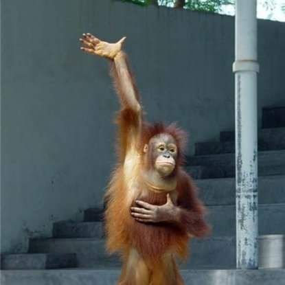 Asmith961524's profile picture. 