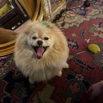 HyunSeomun's profile picture. 