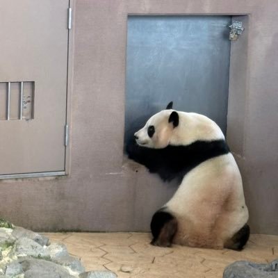kazunori197511's profile picture. 【576位中160位】蠍座×卯年×B型 【運勢概要】 柔軟な対応が試される年 【理由】 新たな挑戦に適応する力が求められる。  【6位】さそり座×B型 スポンサーや上司の後押しによって、次のステップに進める年に。目標に向かって、具体的に動き出しましょう。 （2024年は352位）（2023年は465位）