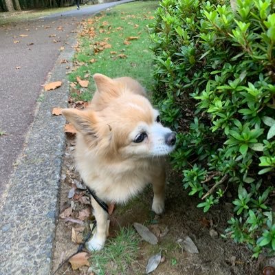 naokichi0626's profile picture. 