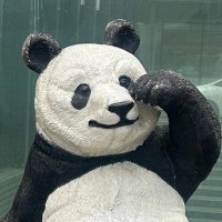 熊木ち (@masmasten) 's Twitter Profile