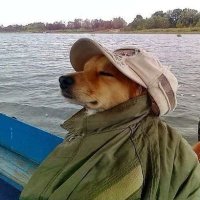 bob (@admprsh) 's Twitter Profile Photo