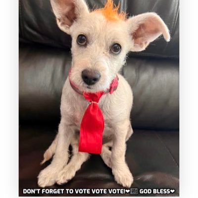 ChikisInLA's profile picture. Don’t follow me, follow Jesus ❤️