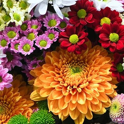 meluska1's profile picture. 