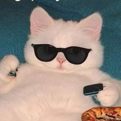 PAlbertam7's profile picture. Gordito 38