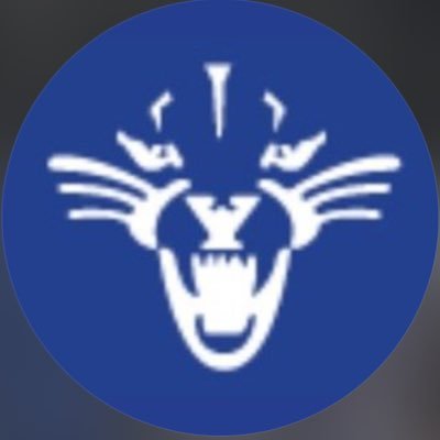 Deep Run High School Baseball Profile