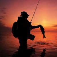 ♟ Cajun ⛵️ (@havingfunyet9) 's Twitter Profile