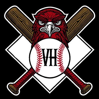 Van Horn Falcon Baseball Profile