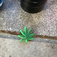 MAC (@mac420grower) 's Twitter Profile