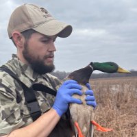 James Callicutt (@jamescallicutt) 's Twitter Profile