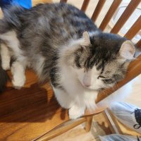 🐱 (@seth257145) 's Twitter Profile