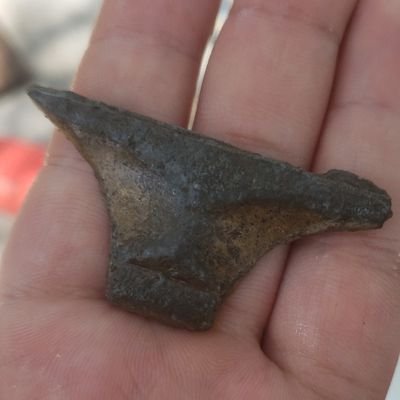 apunadodepb's profile picture. el sentido lo pone uno