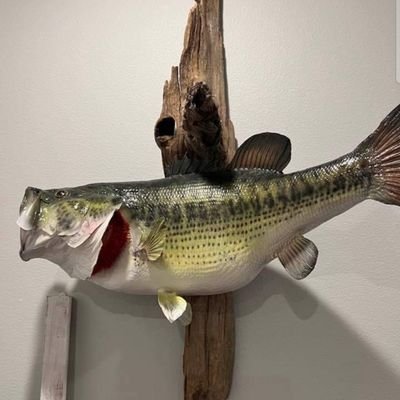 all sports guy, youth sports referee, humble husband, fishing is my passion