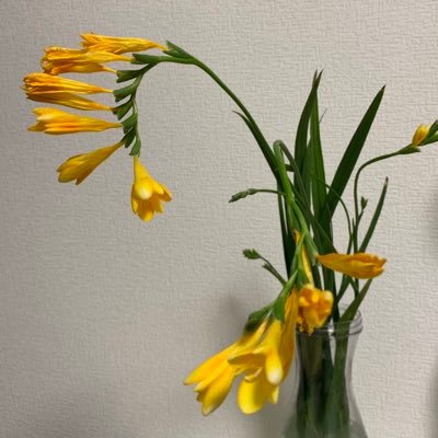 HDS矢野さんのプロフィール画像