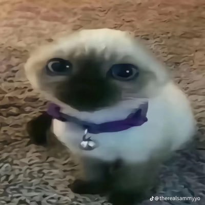 Guest796493's profile picture. Hope your days is good. God is great.