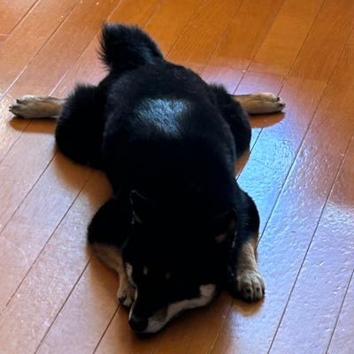 タマズサさんのプロフィール画像