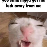 Dingalingdemon (@kysyoushitter) 's Twitter Profile