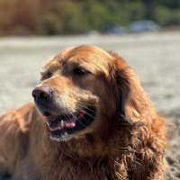 An (@anad1012) 's Twitter Profile