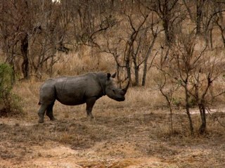 ttarleton1's profile picture. 