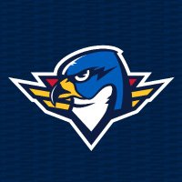 x - Springfield Thunderbirds (@thunderbirdsahl) 's Twitter Profile