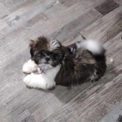 Jesse701303819's profile picture. 