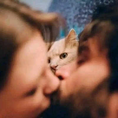 Nuisanceo1's profile picture. Another one🌟