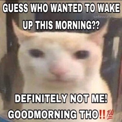 @tomk71980822306
